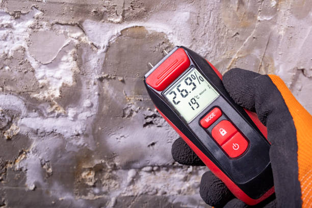 Best Insurance-Related Mold Remediation in Westville, OK