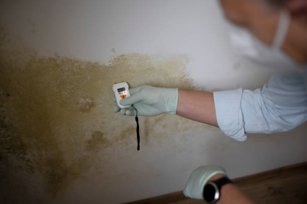 Best Post-Remediation Services in Westville, OK